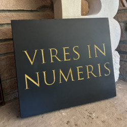 "VIRES IN NUMERIS" - Slate Carving by Brekkie