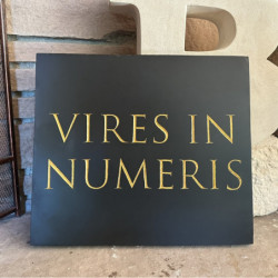 "VIRES IN NUMERIS" - Slate Carving by Brekkie