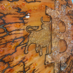 "Bullish on Bitcoin" by Essence of Bitcoin