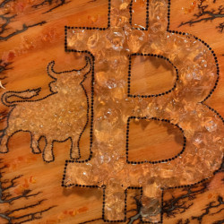 "Bullish on Bitcoin" by Essence of Bitcoin