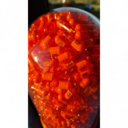 Vitamin B Orange Pill by Program 0
