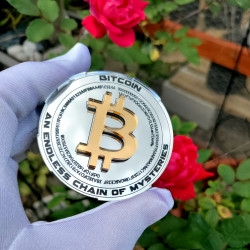 "FractalCoin" - The Genesis Mirror