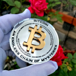 "FractalCoin" - The Genesis Mirror