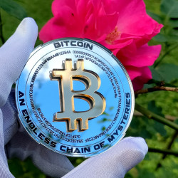 "FractalCoin" - The Genesis Mirror