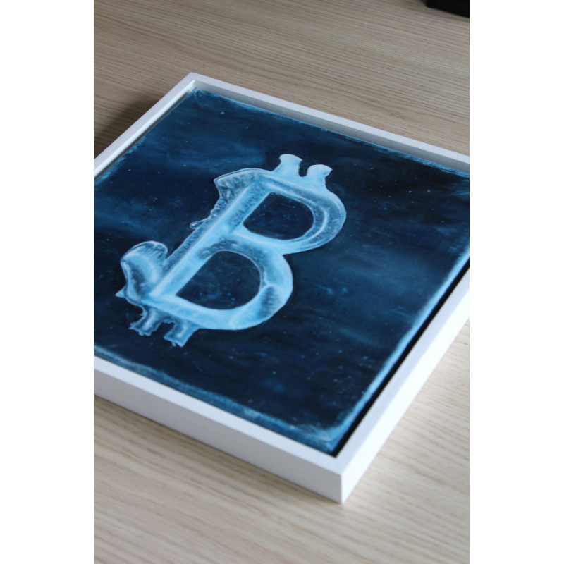 Cold Wallet - Blu3baer