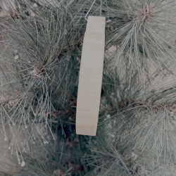 Ho Ho HODL tree ornament - Hodlworth