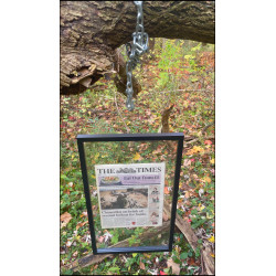 The Times 03/Jan/2009 Chancellor on brink of second bailout for banks - The Times - Francis Elliot & Gary Duncan