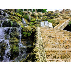 CODEX32 - FractalEncrypt