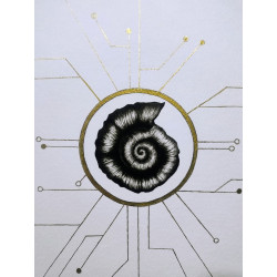 NUEVO SOL by jennfer calderon