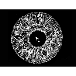 Vision by Annette Handal