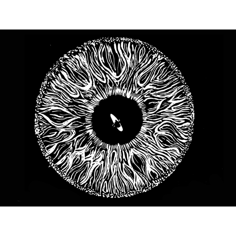 Vision by Annette Handal