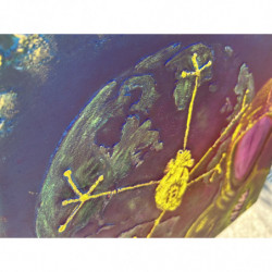 A Piece of Satoshi By Bitart x Melisa Celebi