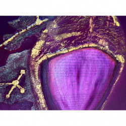 A Piece of Satoshi By Bitart x Melisa Celebi