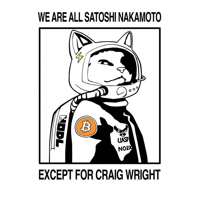 We Are All Satoshi Nakamoto by Street Cyber  - Signed by Hodlonaut